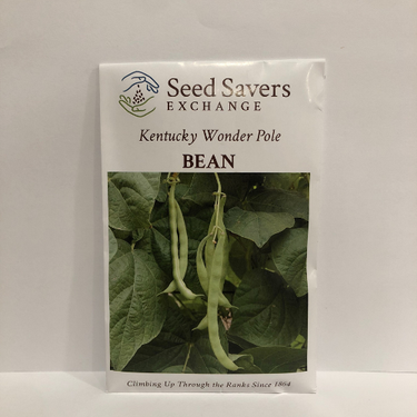 Kentucky Wonder Pole Bean, 1864 Heirloom - Organic and Conventional Available